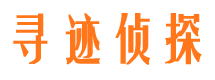 武城市调查公司